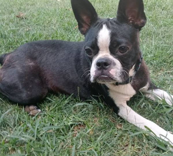 Chloe
