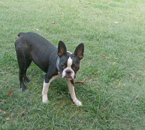 Chloe