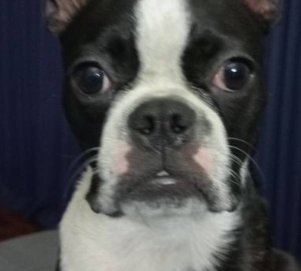 Chloe