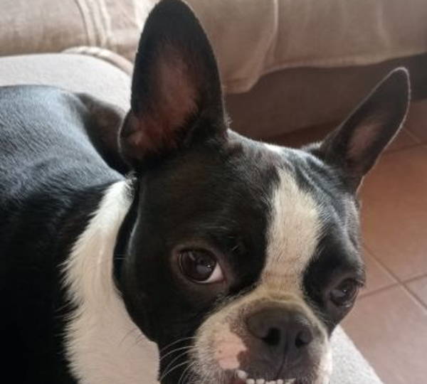 Chloe