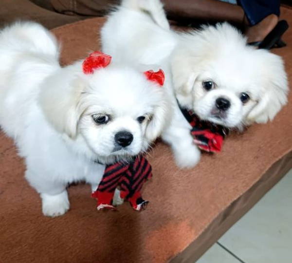 Max & Maxine