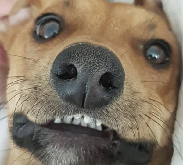 Diego