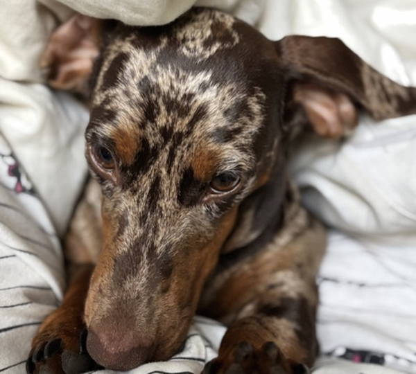 Mia