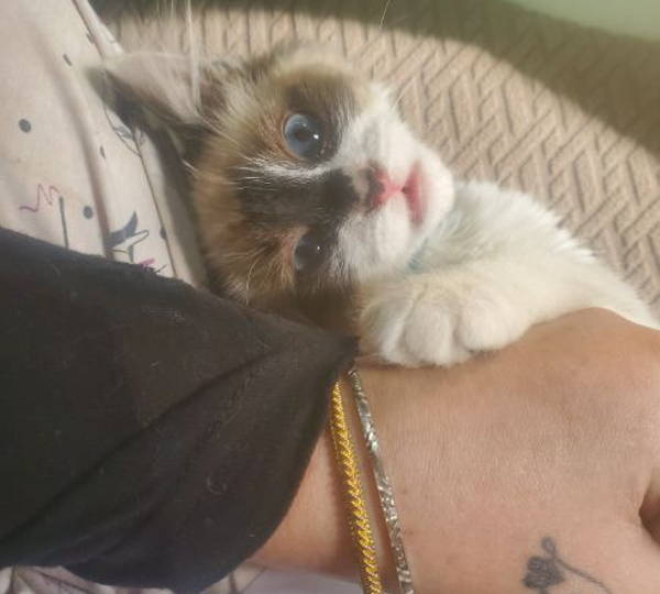 Smudge