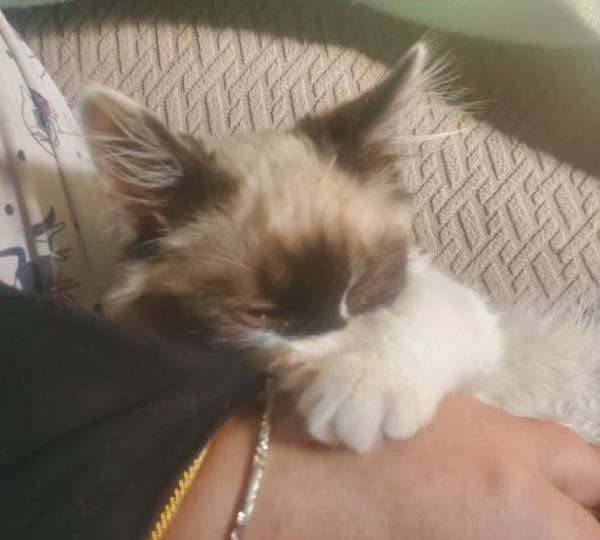 Smudge