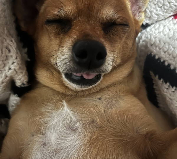 Pixie