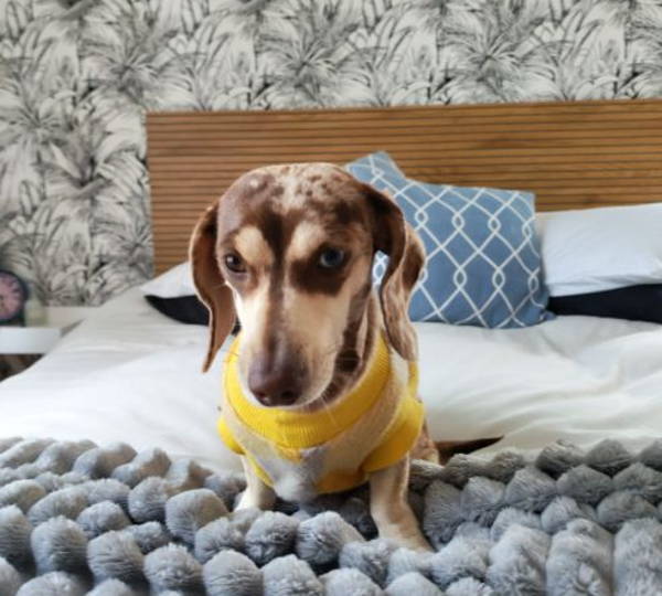 Skye