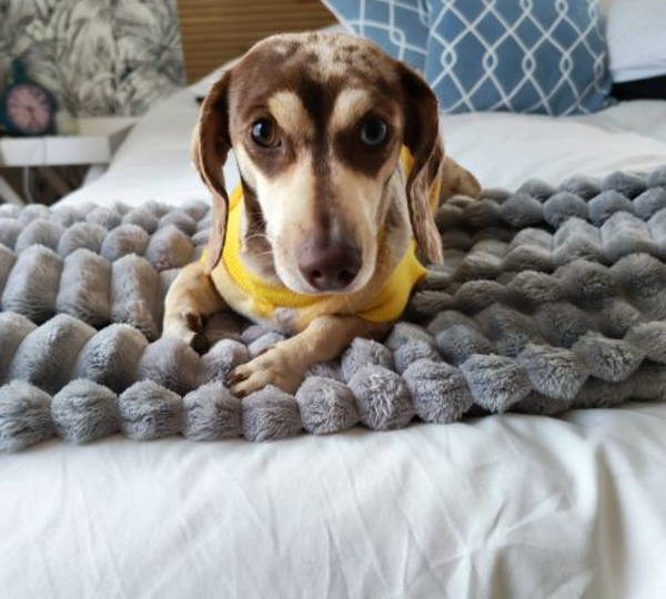 Skye