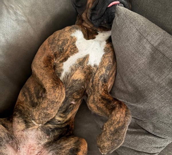 Stormi