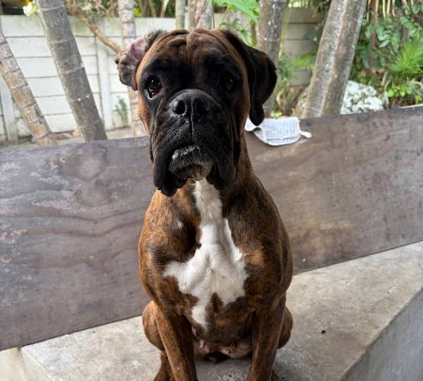 Stormi