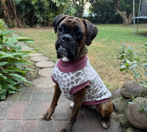 Stormi