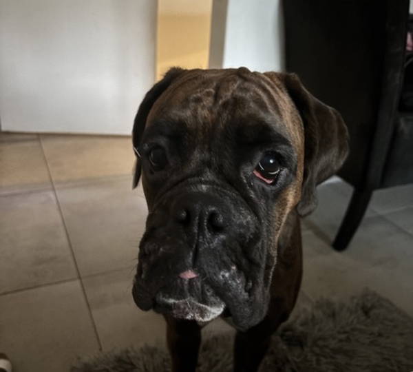 Stormi