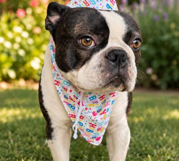 Tyson