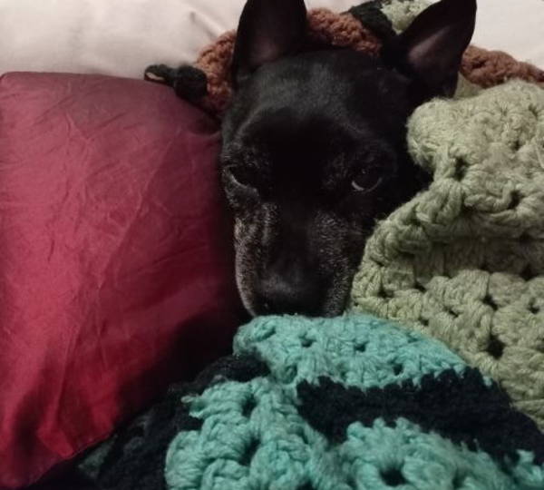 Blackie