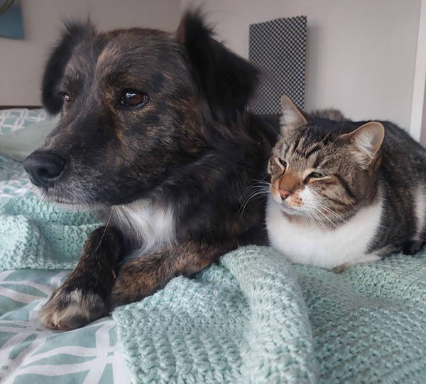 Buddy