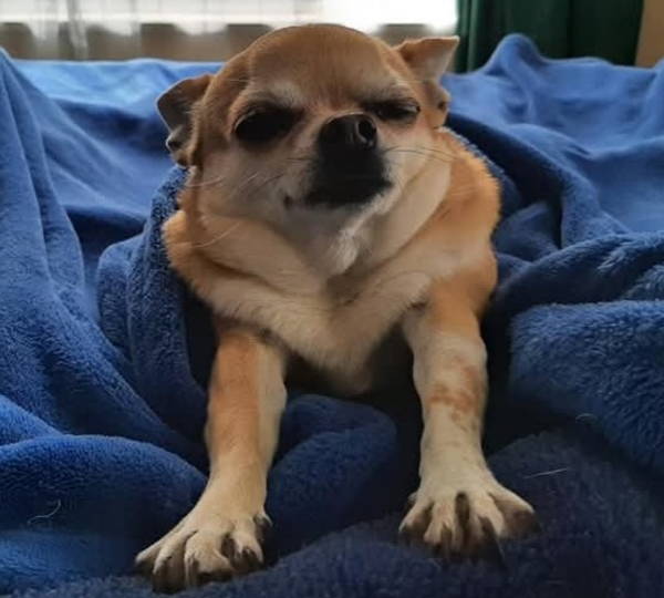 Jada