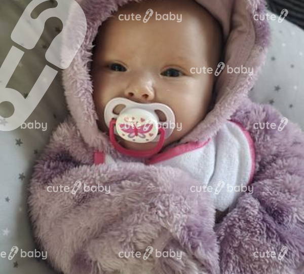 Suelyn
