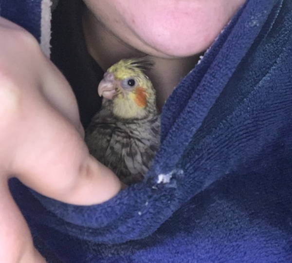Tilly