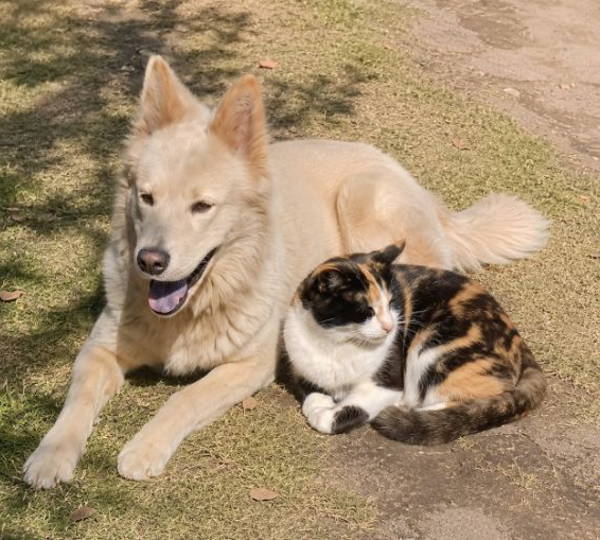 Blits & Bella