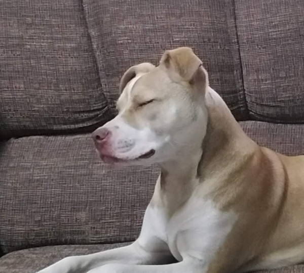 Zoey