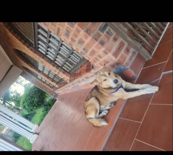 Max