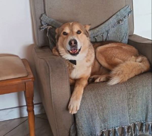 Max