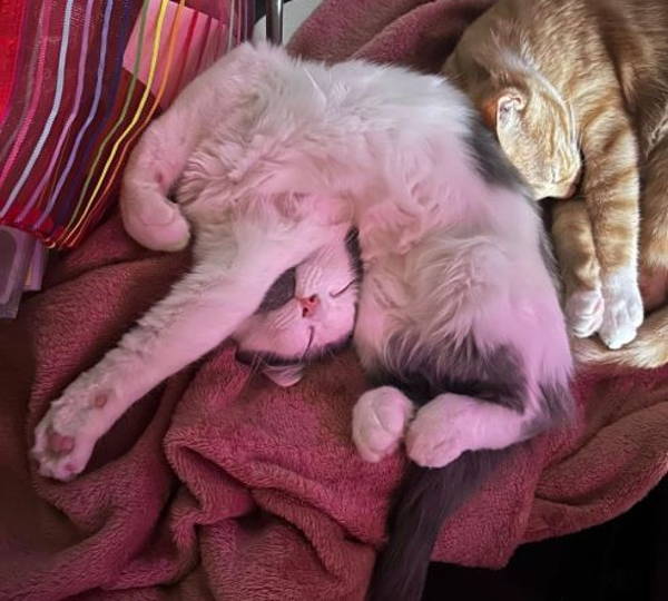 Nacho & Chloë