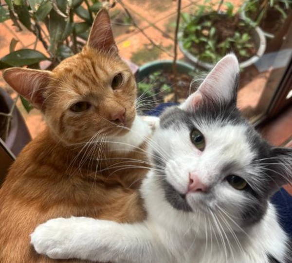 Nacho & Chloë