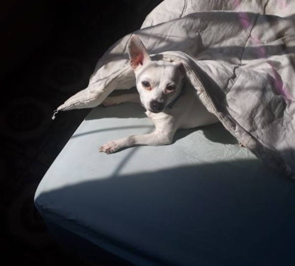 Nina