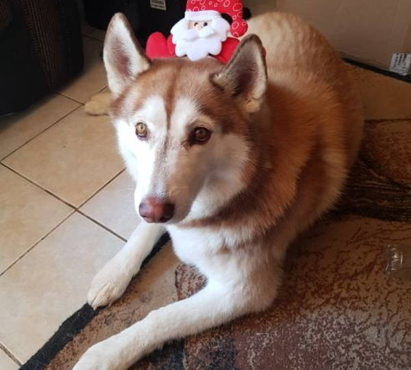 Axel