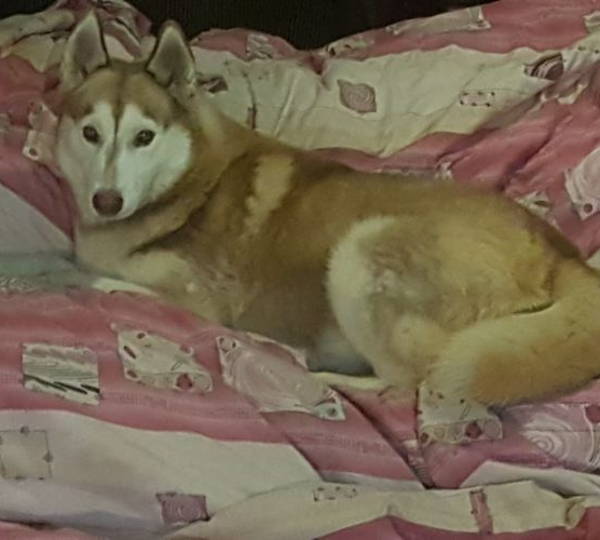 Axel