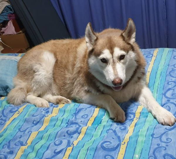 Axel