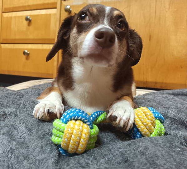 Coco