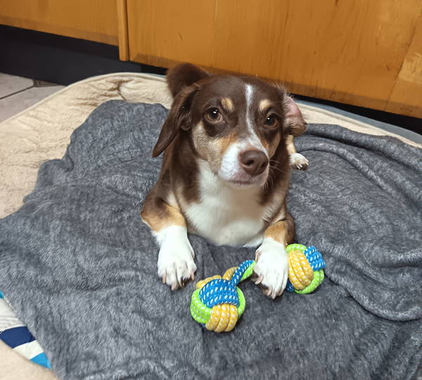 Coco