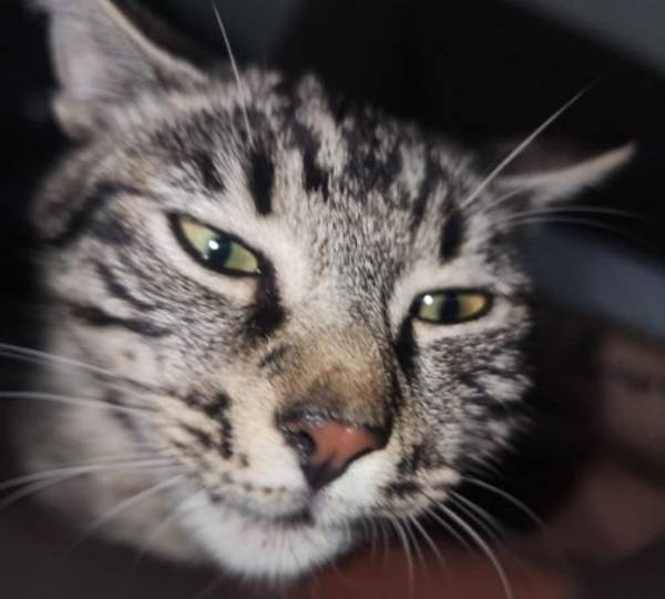 Zoë
