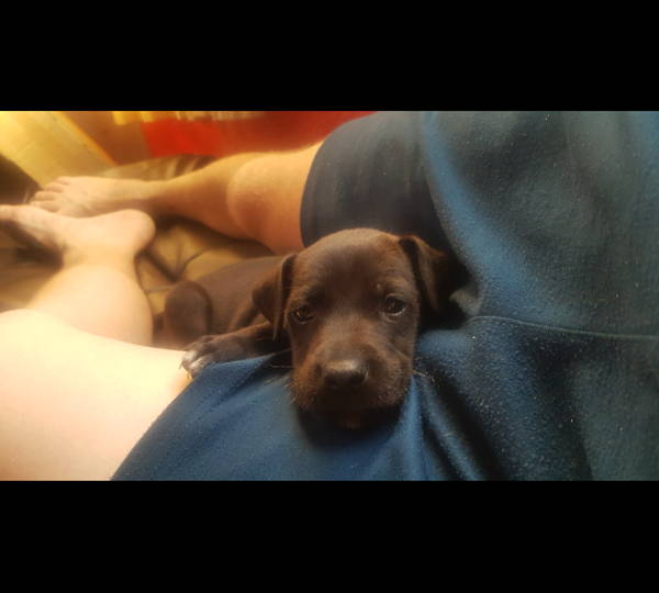 Sanchez