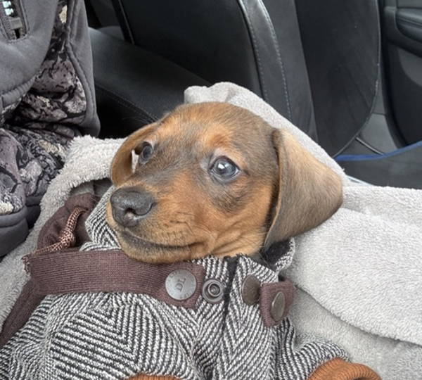 Milo