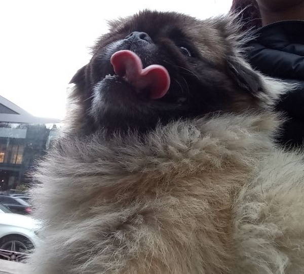 Khloe