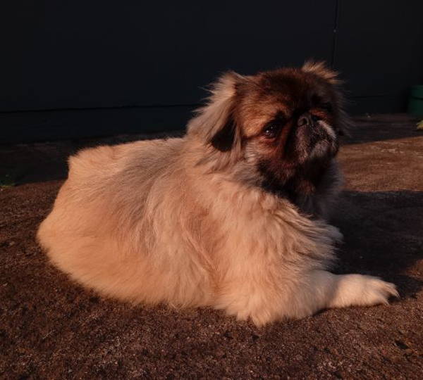 Khloe