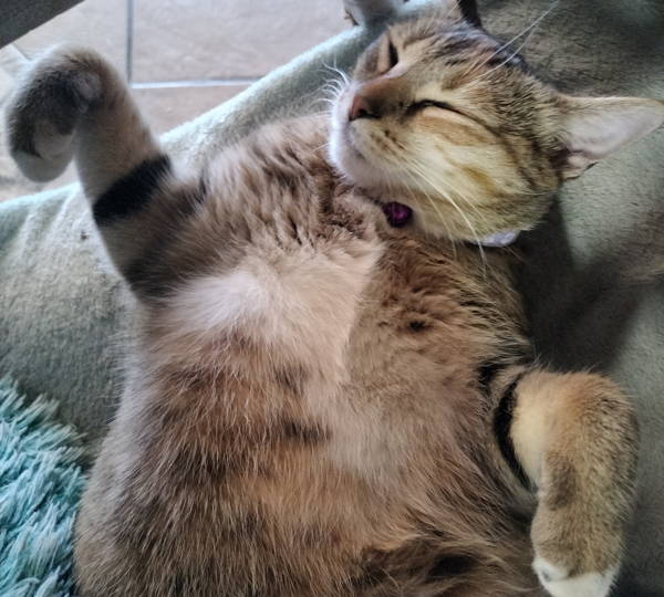 Pablo
