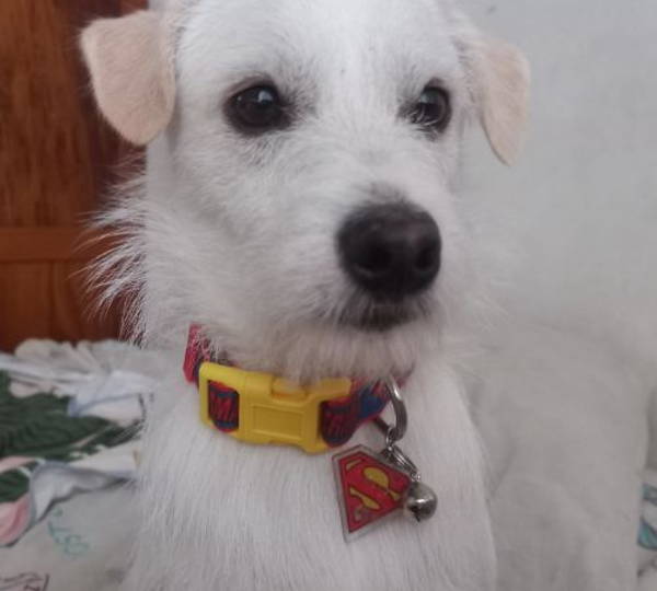 Yuki