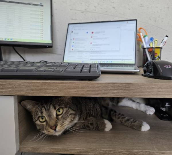 Luna