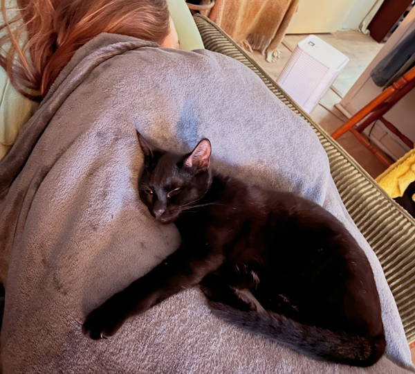 Luci
