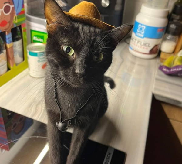 Luci