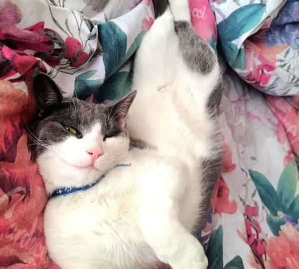 Max