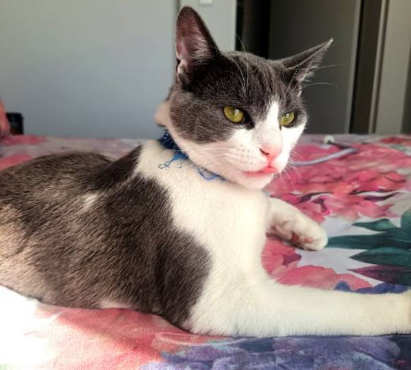 Max