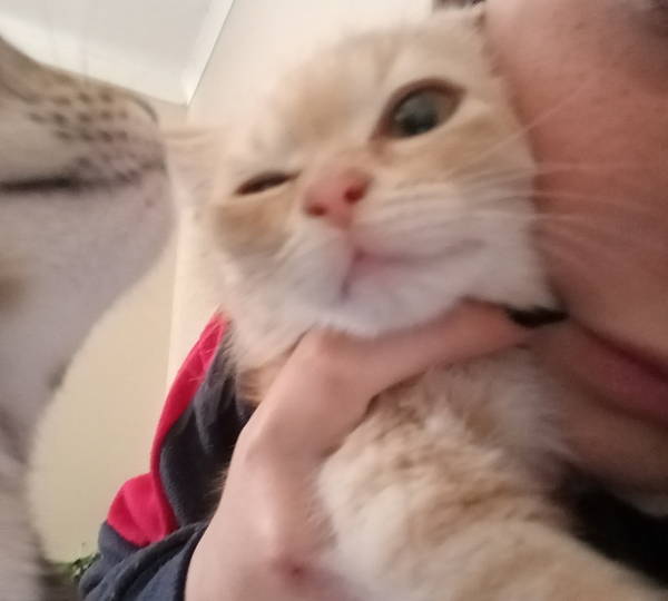 Munchkin