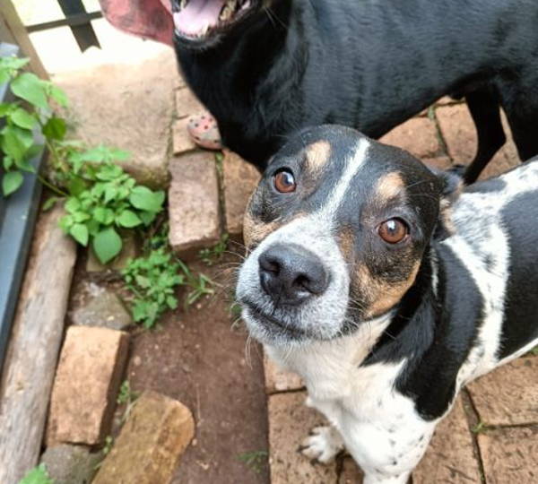 Buck & Diego