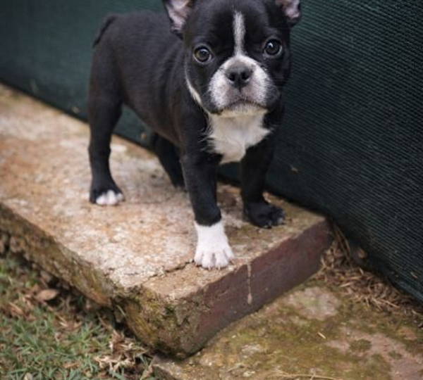 Luna