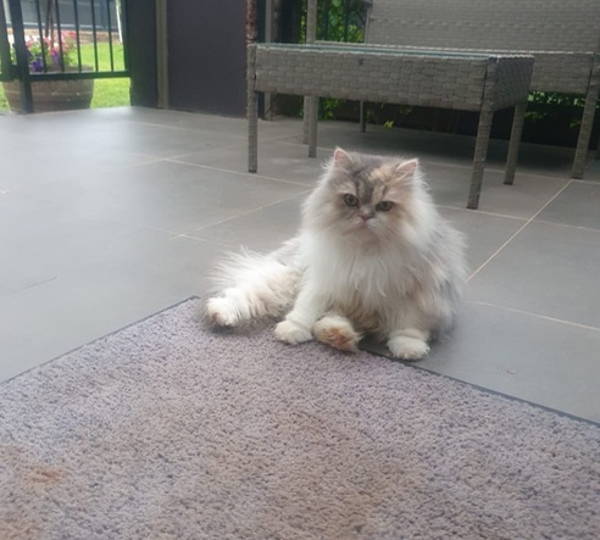 Bella